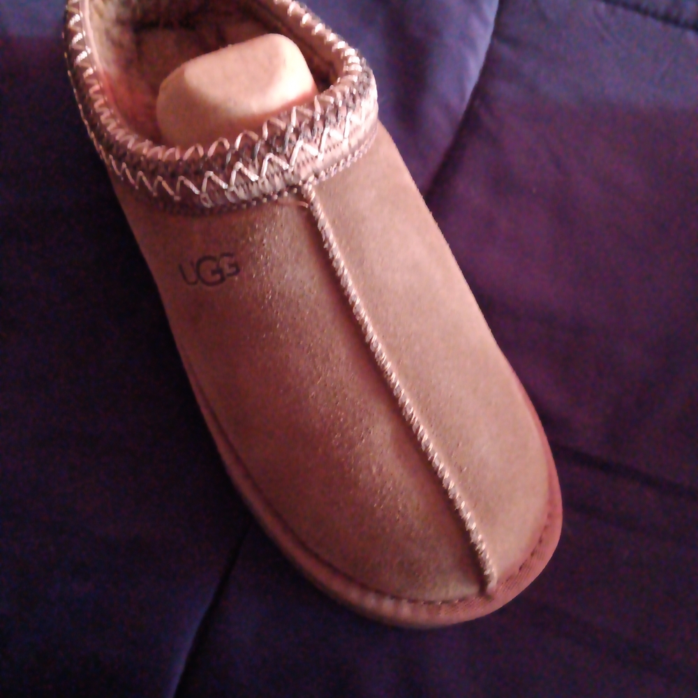 UGG Brown Suede Slippers